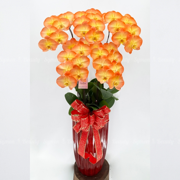 F30落地5入圖1 _3980.JPG