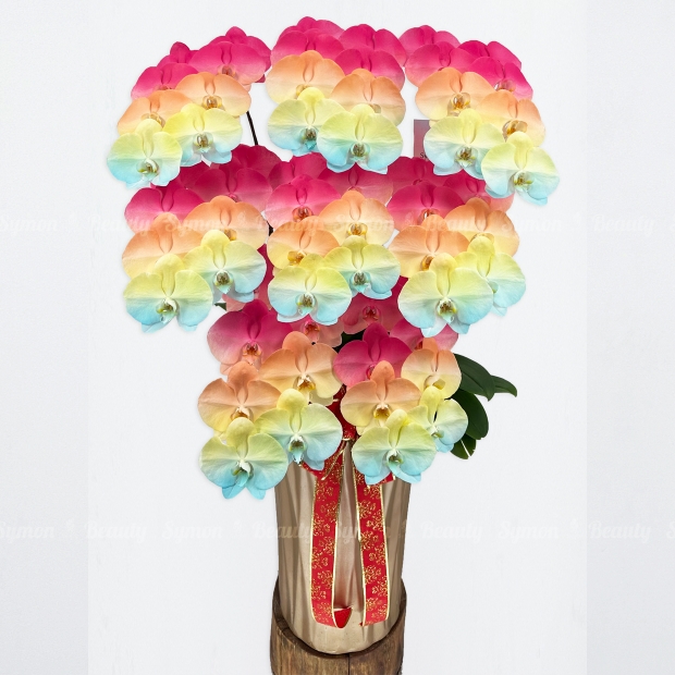 F33落地8入圖1 _6380.JPG