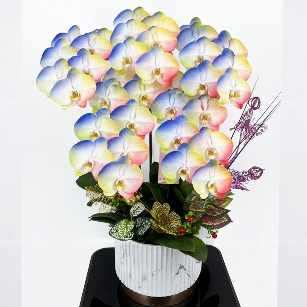 璀璨炫彩 桌上5入  圖1 _3980.JPG