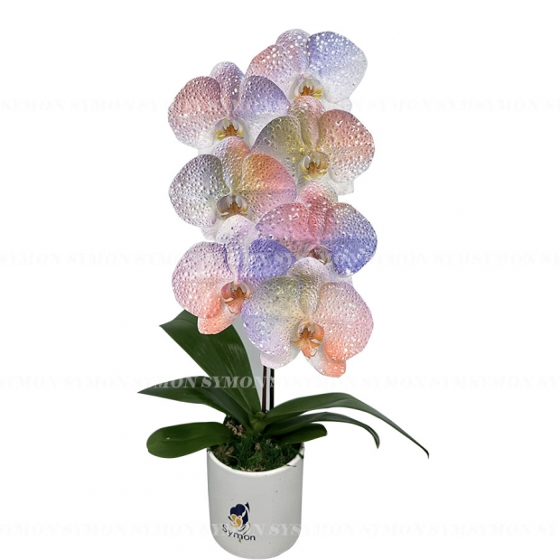 ART _03  _1280 一入 -1.jpg