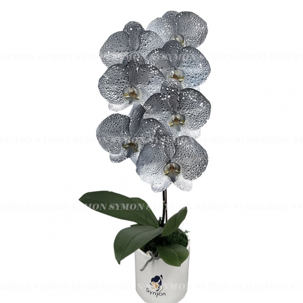 ART _02  _1280 一入.jpg