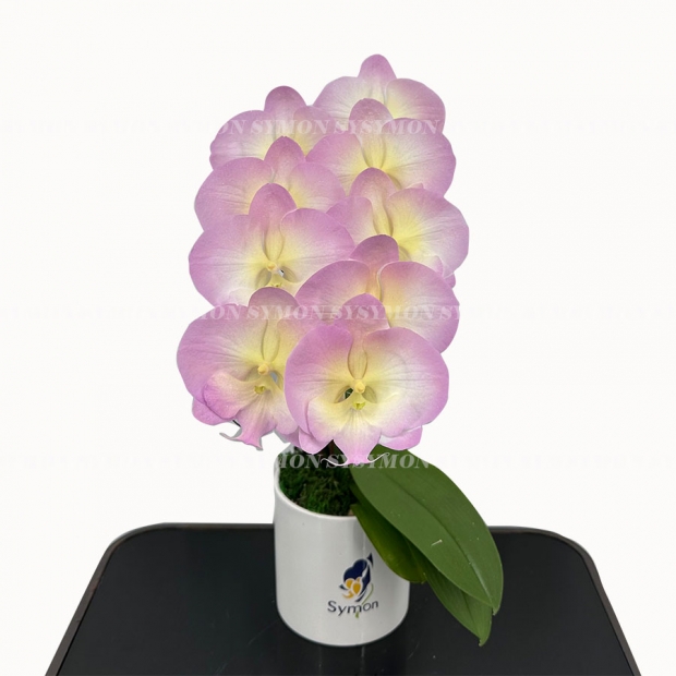 CB-F27 桌上1入_1080-1.jpg