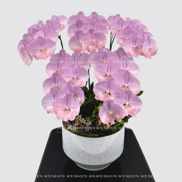 方 CB-F16 桌上5入圖1 _3980.jpg