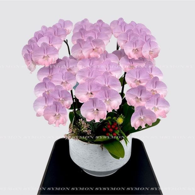 方 CB-F16 桌上6入圖1 _4800.jpg