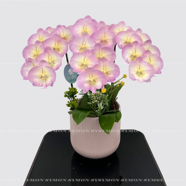 方 CB-F27 桌上3入圖2 _2680.jpg