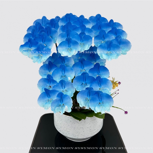 方 CB-New Painting _2 桌上5入圖1 _3980.jpg