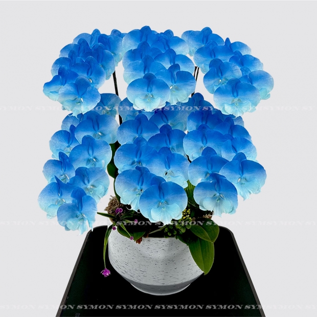 方CB-New Painting _2 桌上6入圖2 _4800.jpg