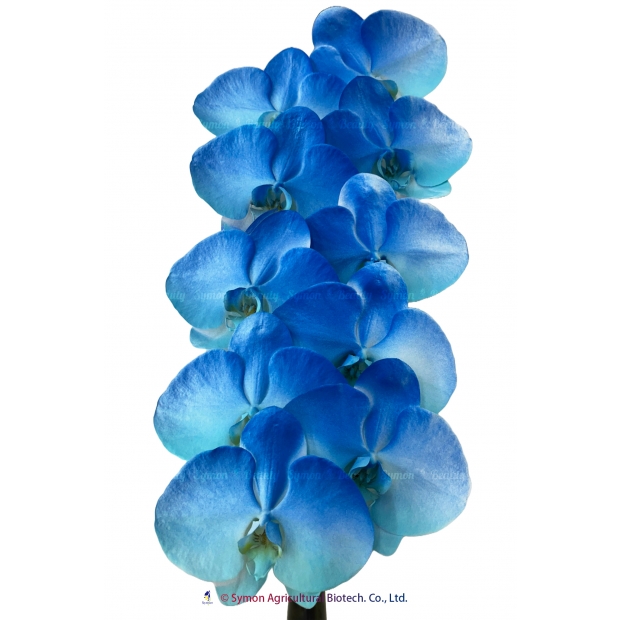 New Panting _2 10F.jpg