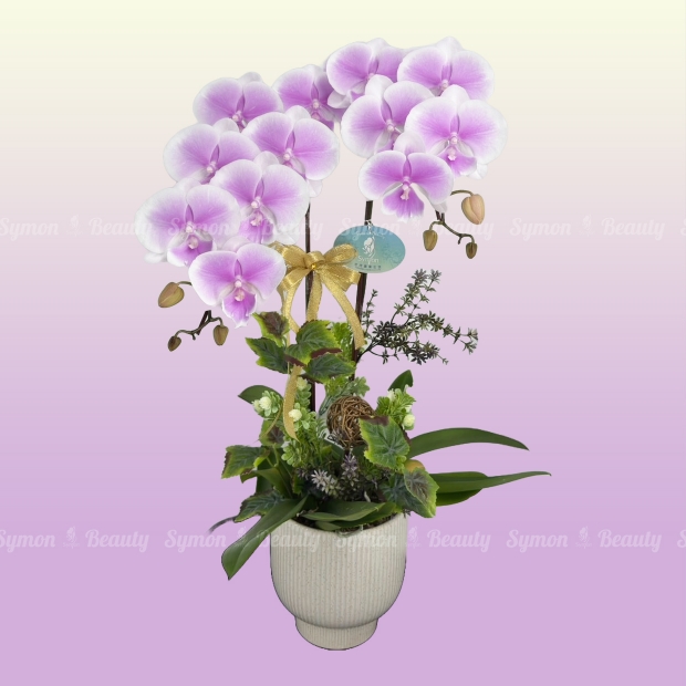 【季節限定-粉色唇瓣】兩入桌上型 _1280.jpg