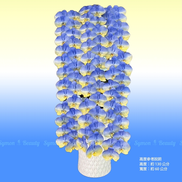 【友誼之蘭】   串連 落地盆 圖1 _15800.JPG