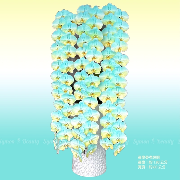 【蘭舞希望】   串連 落地盆 圖1 _15800.JPG