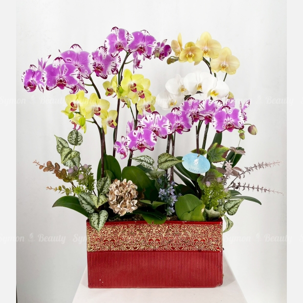 mix天然色花_桌上型_5280 _1_.jpg