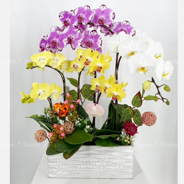 mix天然色花_桌上型_5280 _1-1_.jpg