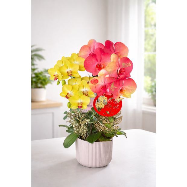 2026新春B款_桌上型二入盆__2680 _4_.jpg