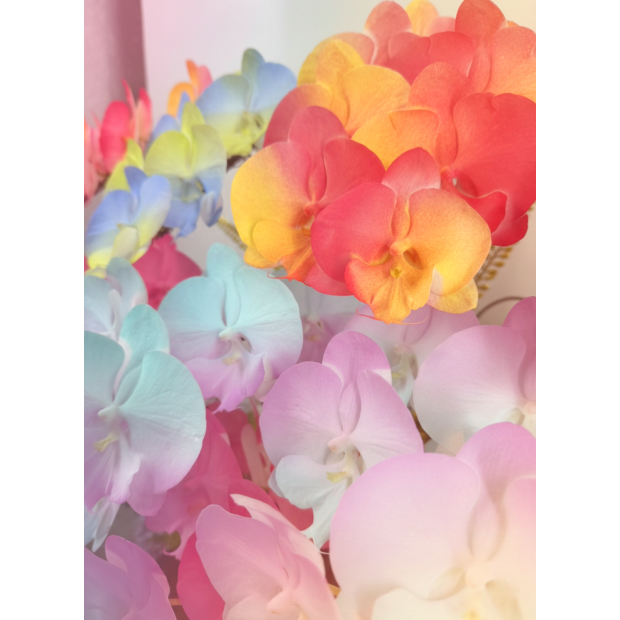 Gemini_Generated_Image_9sa2ll9sa2ll9sa2.png