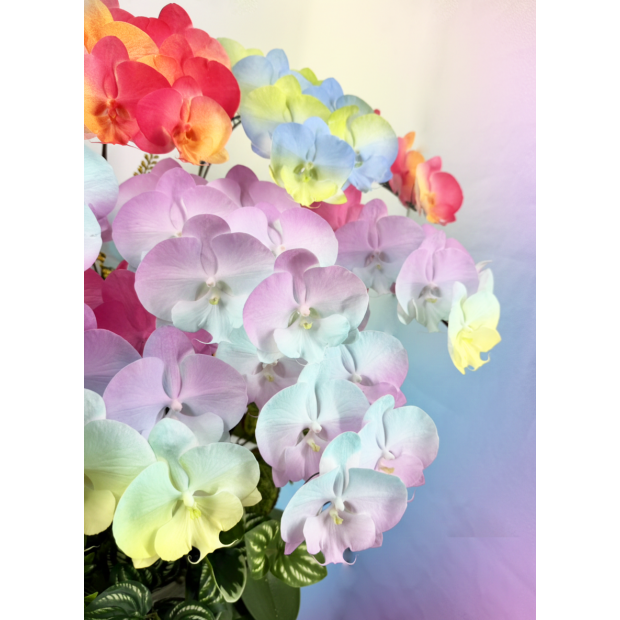 Gemini_Generated_Image_597mgx597mgx597m.png
