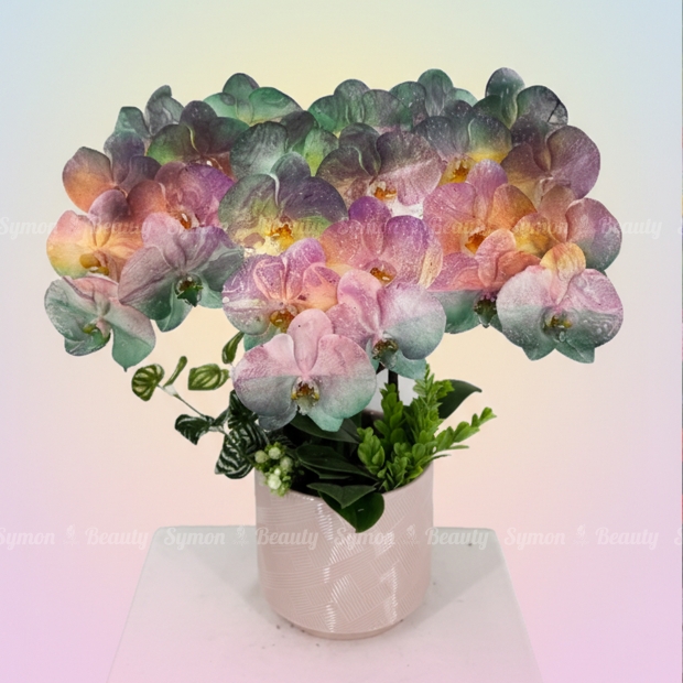 印象派莫內花園_三入盆_4980_1_.jpg