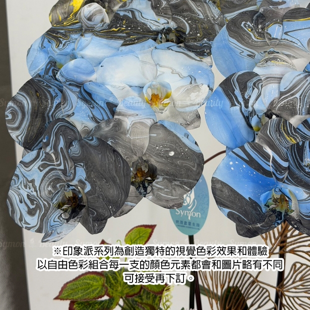 印象派梵谷星夜_二入盆_3280_3_.jpg