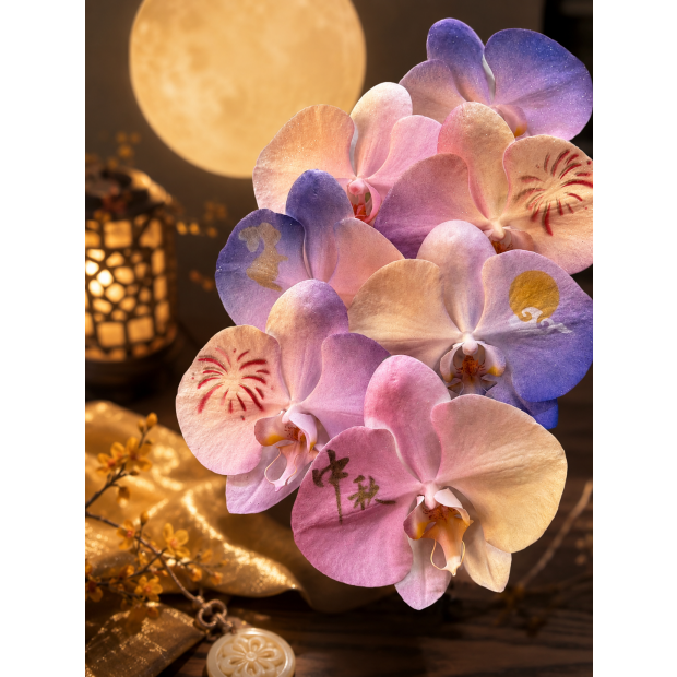3ab5e485-d85a-4fdf-8991-ac7e5f4bdbb0.png