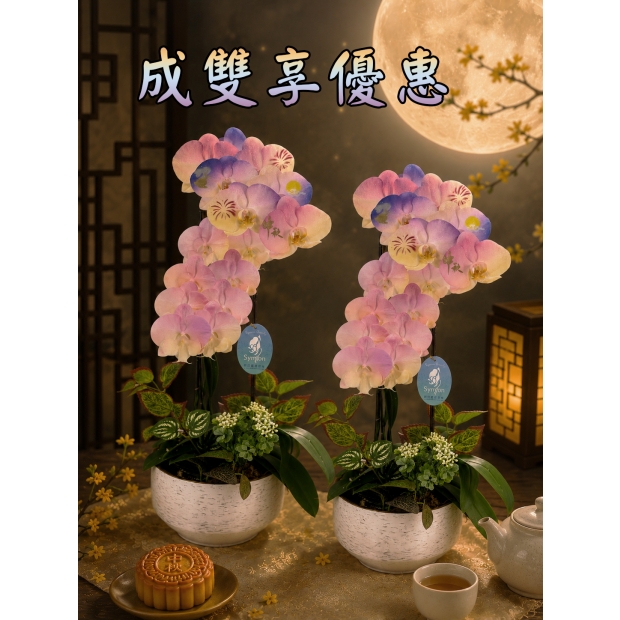 2入成雙.jpg
