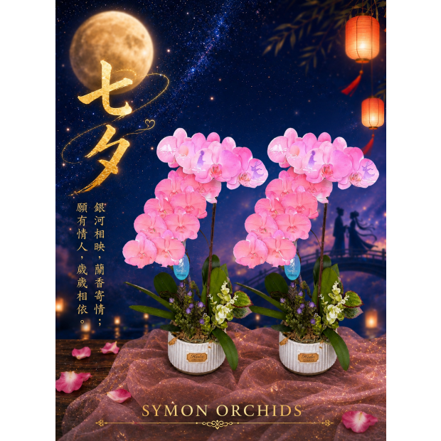 5e1b5348-3b0e-4a2f-afaf-0b60b07b1630.png