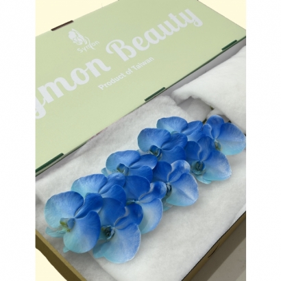 New Panting _2 10F_綠箱_.JPG