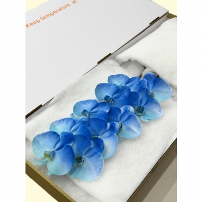 New Panting _2 10F_白箱_.JPG