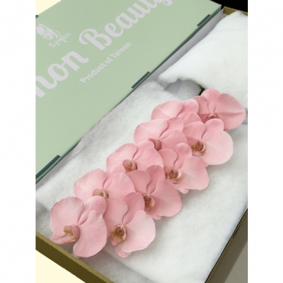 SFN-11 Rose Gold 10F_綠箱_.JPG