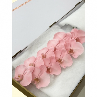 SFN-11 Rose Gold 10F_白箱_.JPG