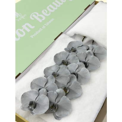 SFN-2 Metal Silver 10F_綠箱_.JPG