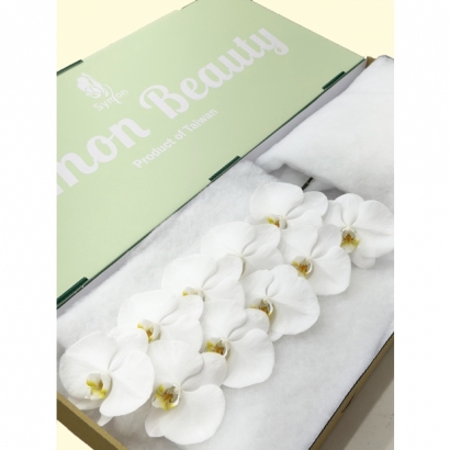 V3白花 10F_綠箱_.JPG