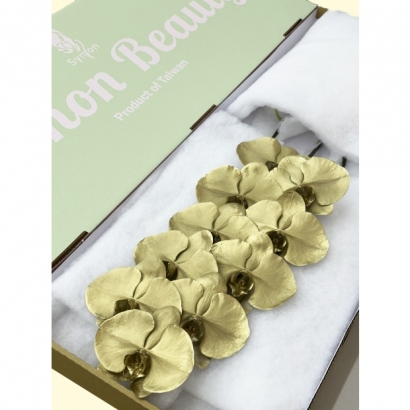 SFN-1 Metal Gold 10F_綠箱_.JPG