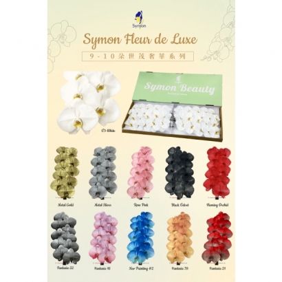 001_Symon Fleur de Luxe_vivipic.jpg