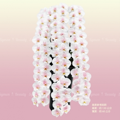 【粉墨花影】   串連 落地盆 圖1 _12800.JPG