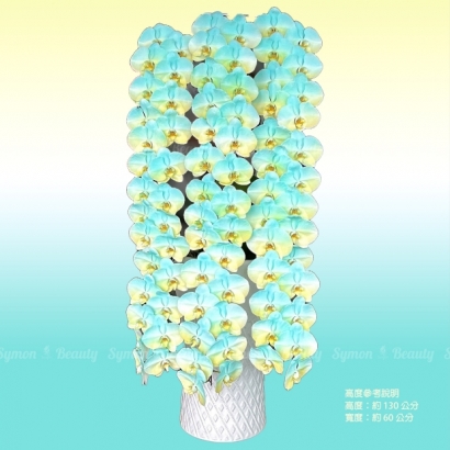 【蘭舞希望】   串連 落地盆 圖1 _15800.JPG