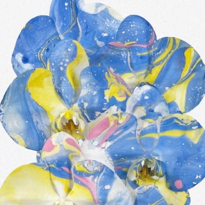 Impression 01.jpg