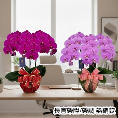 BIG CHILLI_HOT PINK 桌上3入_3280 _2_.jpg