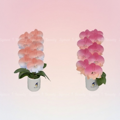 CB-F37_CB-F38 桌上1對_2080.jpg