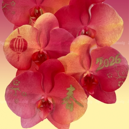 2026新春B款_桌上型二入盆__2680 _3_.jpg