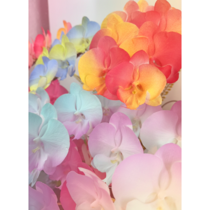 Gemini_Generated_Image_9sa2ll9sa2ll9sa2.png