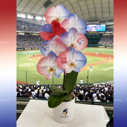 【台灣棒球】桌上型一入盆__1980 01.jpg