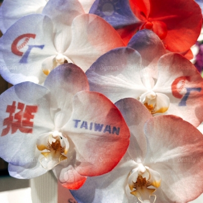 【台灣棒球】桌上型一入盆__1980 03.jpg