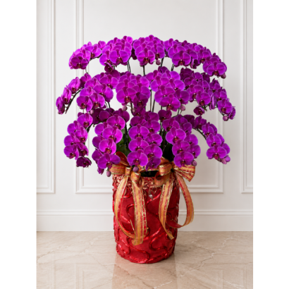 BIG CHILLI 紅花落地16入圖1 _9600.png