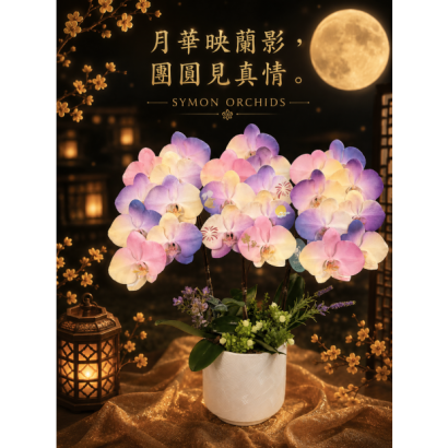 39a3f444-87ec-4942-b72f-0f78a70a4fc0.png